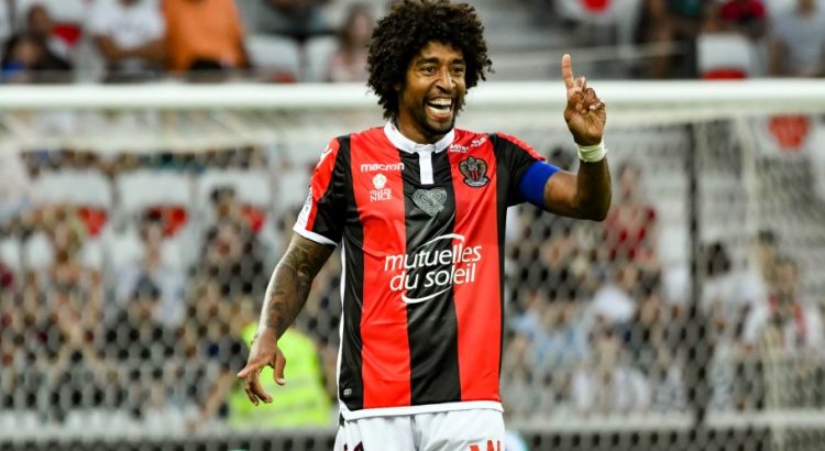 ‘Cây trường sinh’ Dante đứng vững ở độ tuổi 40